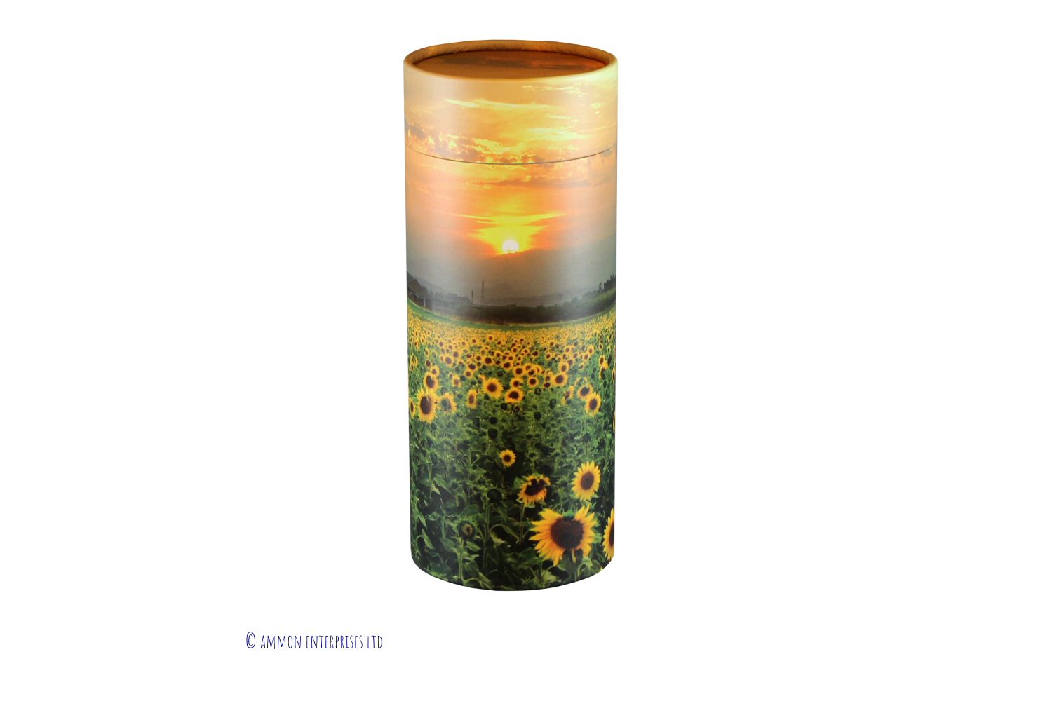 Sunflower Field Scatter Tubes