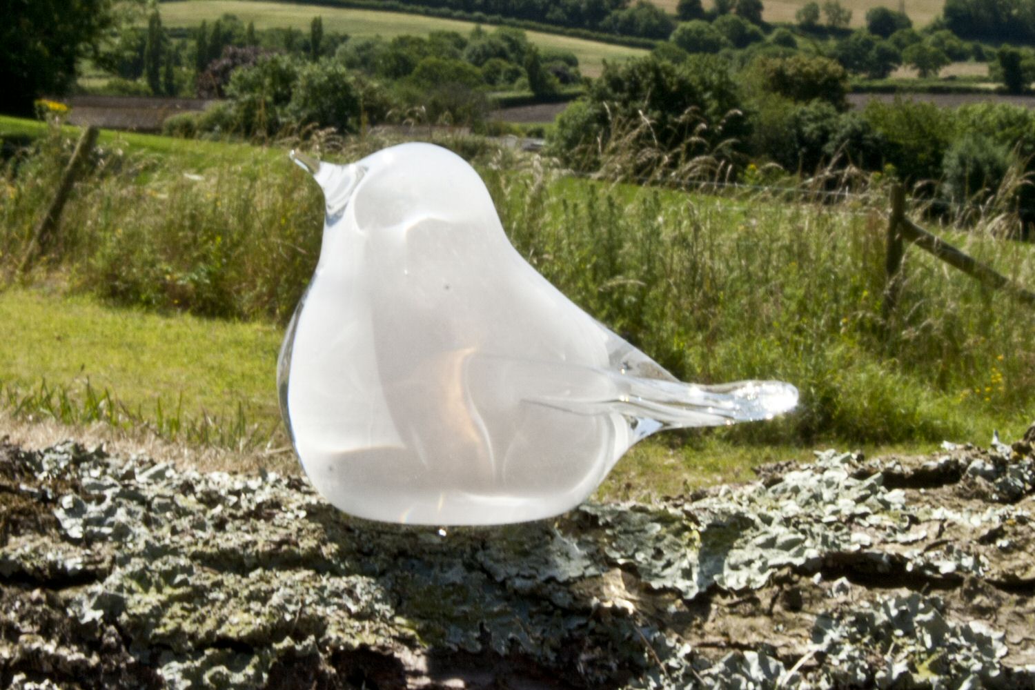 Memorial Glass Dove